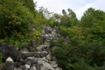 登山道２