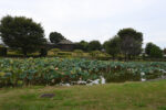 中宿歴史公園