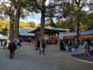 氷川神社２